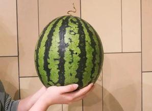 广州风暴吃瓜,吃瓜群众围观城市风云变幻