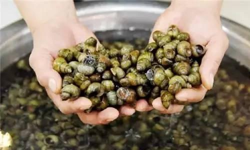 螺蛳叔叔吃瓜,一场味蕾与文化的碰撞之旅