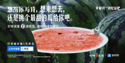 酒店吃瓜文案,揭秘幕后故事与精彩瞬间