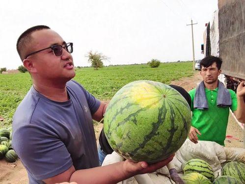 天马吃瓜,揭秘娱乐圈的甜蜜与苦涩