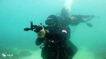 蛙人路边吃瓜,展现海洋生活趣味瞬间