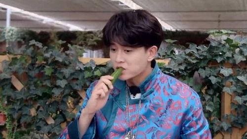 任嘉伦吃瓜图片,瓜王降临！