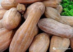 方瓜咋吃h,方瓜咋吃，美味无限