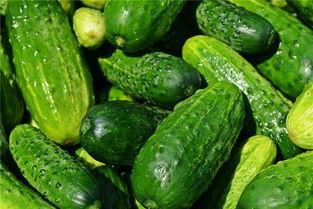 yunfu梦见吃瓜,yunfu中的瓜果盛宴