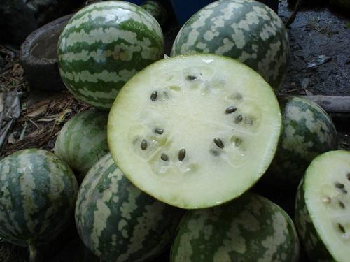 绿宝瓜怎么吃,解锁健康美味新体验