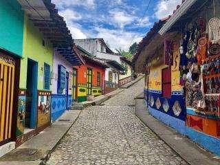 新场镇新品崩瓜怎么吃,多味食法，解锁夏日清新口感