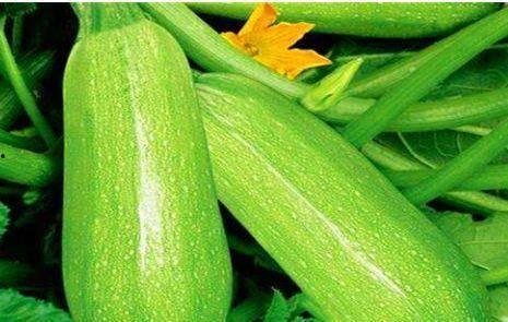 茭瓜与海货能一起吃吗,茭瓜与海货搭配食用指南