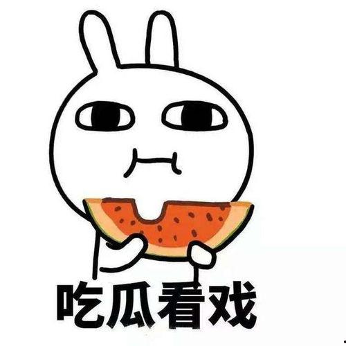 吃瓜群众表示理解,吃瓜群众视角下的社会现象解读