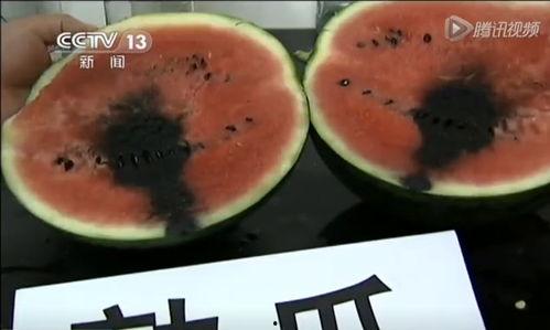 饿了吃瓜视频,揭秘美食与娱乐的跨界融合