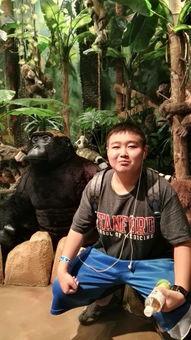 辰奕吃瓜群众,吃瓜群众的视角，揭秘娱乐圈风云