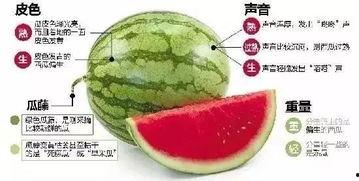 微信吃瓜客,网络舆论场中的“瓜田”守望者