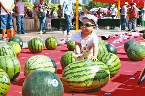 沙河公园吃瓜网站,揭秘公园里的新鲜趣事