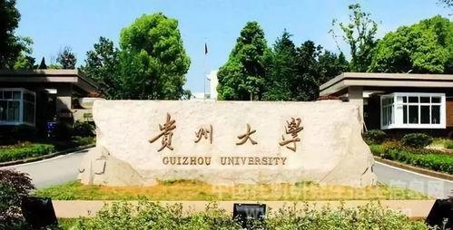 贵州大学大型吃瓜现场,揭秘校园里的“瓜王争霸赛”
