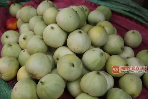 南宁的吃瓜,解锁当地特色美食风情