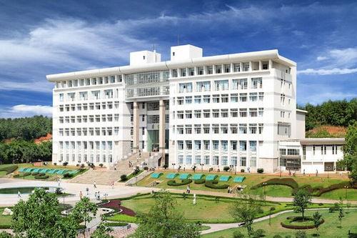 湘潭大学吃瓜女神,校园风云人物背后的故事