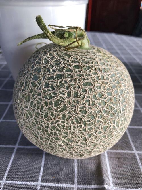 静冈玫珑瓜怎么吃,静冈玫珑瓜的多彩食法指南