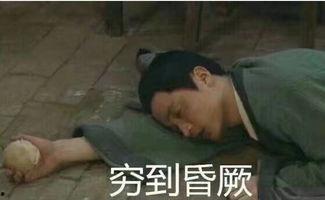 吃瓜表情包过冬,暖意融融度严寒