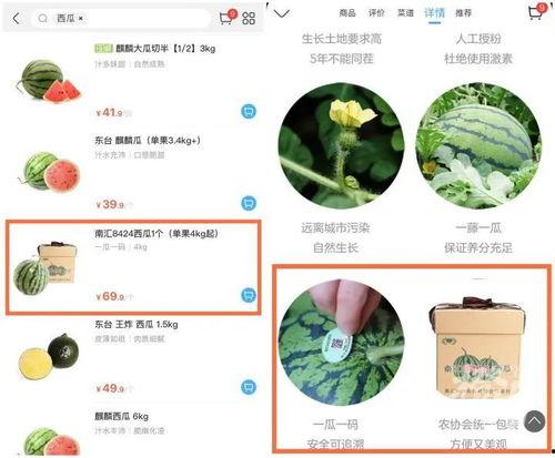 吃瓜神秘组织是什么