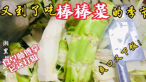 台儿庄老师吃瓜