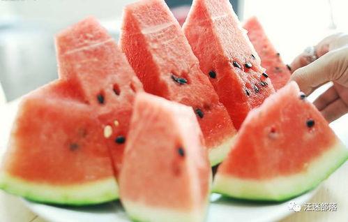 交秋吃瓜,品味瓜果飘香