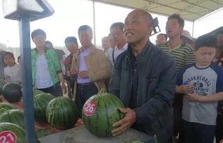 河北邯郸吃瓜群众