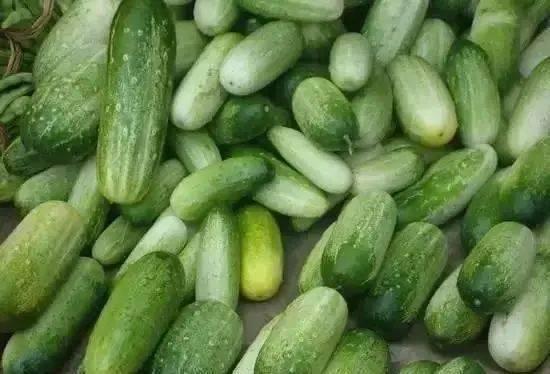 云南乳瓜怎么吃